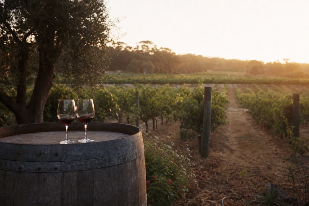 Two wine glasses on a barrel with rows of vines behind at golden hour, no text, no logos, no faces