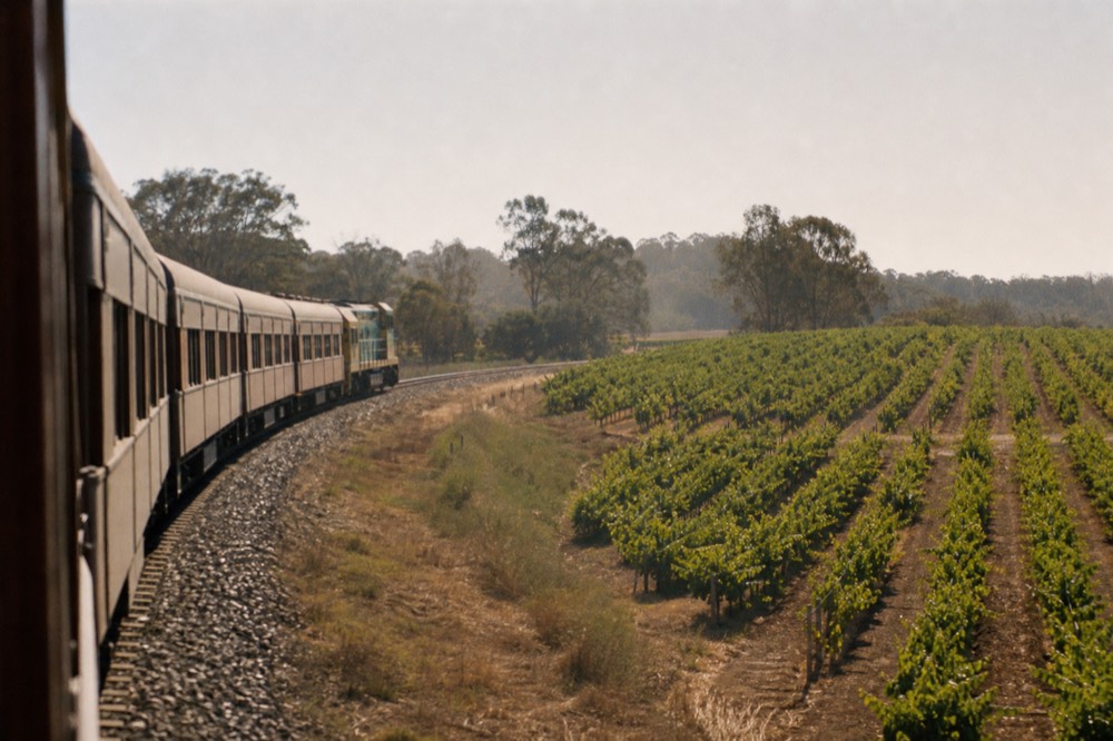Passenger rail cars on a track curving through green vineyard land under soft light, no text, no logos, no people