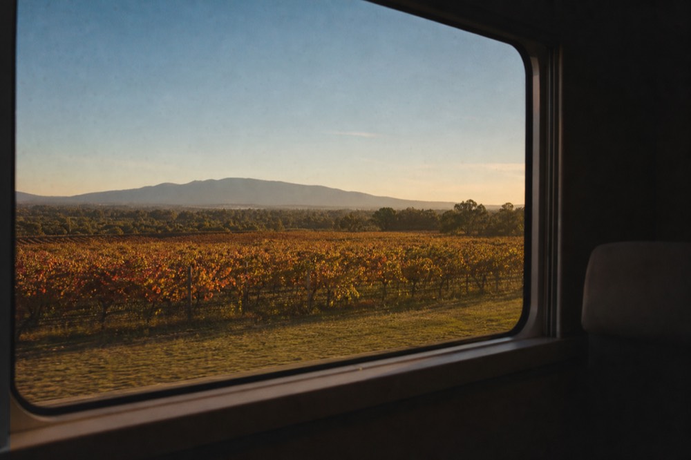 Vineyard rows seen through a large train window with distant hills under golden light, no text, no logos, no people