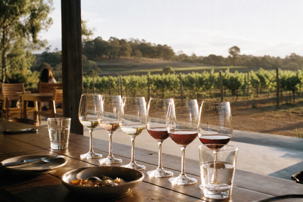 A seated tasting table on a vineyard terrace with a flight of glasses and rows of vines beyond, no text, no logos, no faces