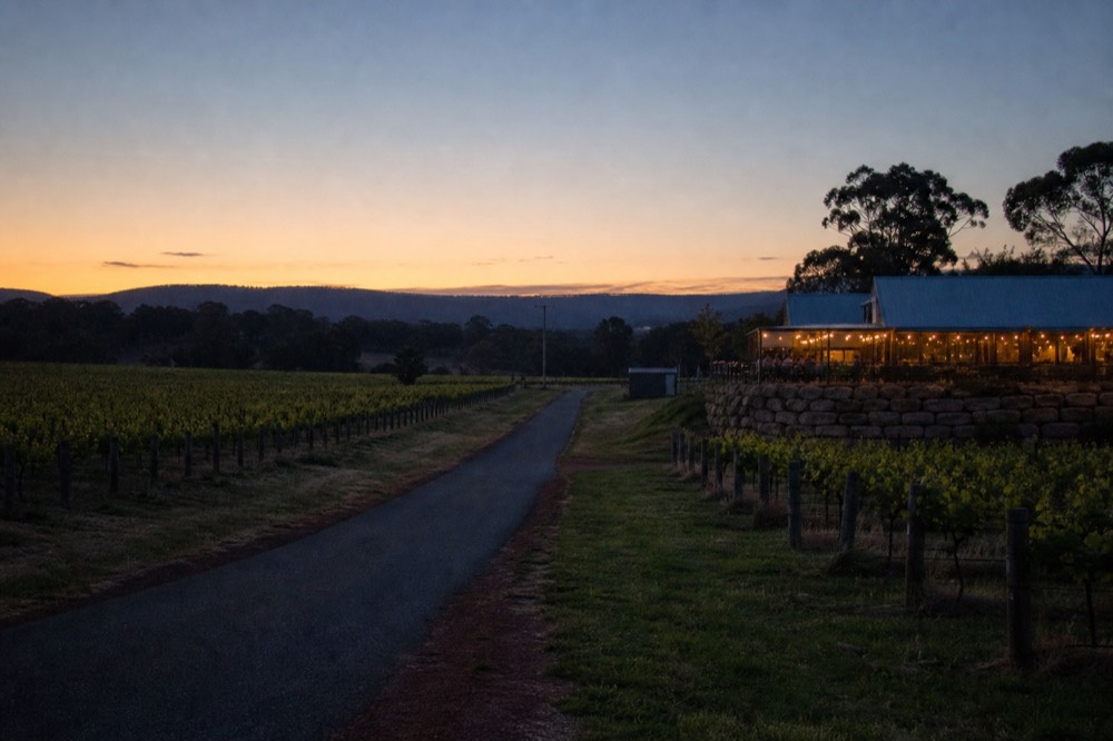 A quiet two-lane road between vineyard blocks leading toward low hills at golden hour, no text, no logos, no faces