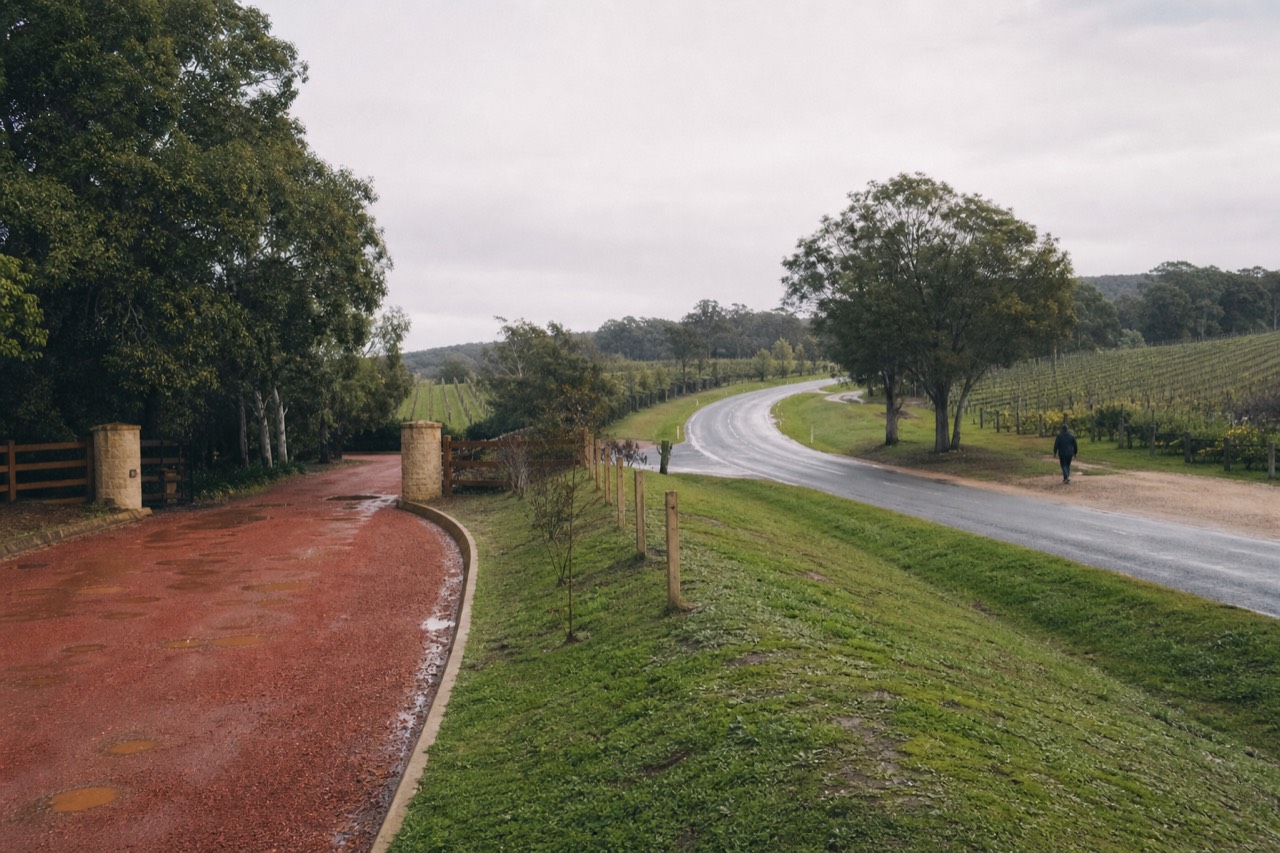 A winding valley road running past vineyards between two winery driveways, warm afternoon light, no text, no logos, no faces