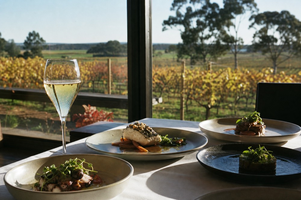 A plated multi-course meal beside a single glass of sparkling wine on a white tablecloth with vineyards through the window, no text, no logos, no people