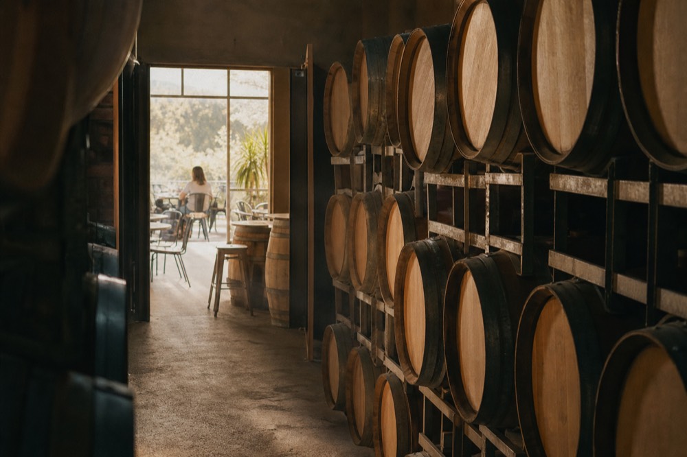 Rows of oak barrels stacked in a dim cellar beside a doorway leading to a bright tasting space, no text, no logos, no faces