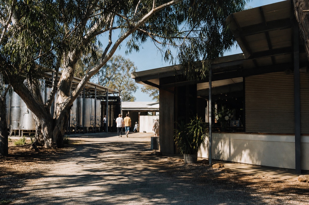 A working winery with stainless fermentation tanks on one side and a bright tasting counter on the other, warm daylight, no text, no logos, no faces