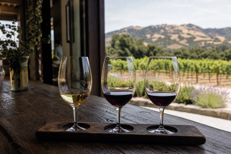 A short afternoon tasting flight of two reds and a white on a timber counter, a Napa Valley vineyard and hills beyond in soft daylight