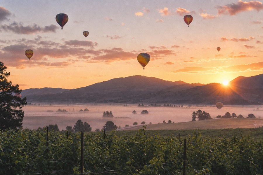 A hot-air balloon rising over Napa Valley vineyards at dawn, mist low in the rows and golden light on the hills behind