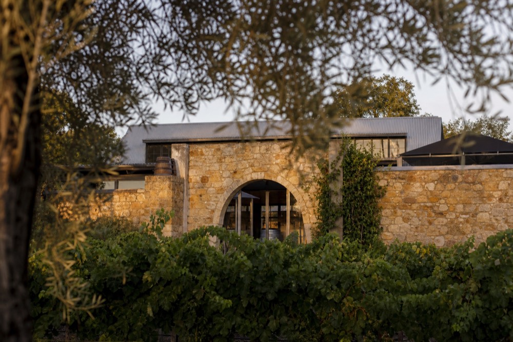 A stone winery entrance framed by vines and olive trees under warm light, no text, no logos, no people