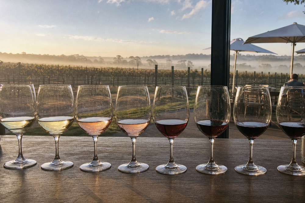 A row of wine glasses on a tasting bar with vineyard light behind, no text, no logos, no people