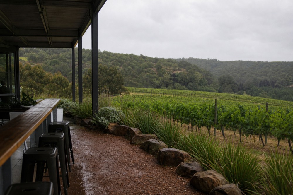 Rows of vines beside a small tasting terrace under afternoon sun with hills behind, no text, no logos, no people