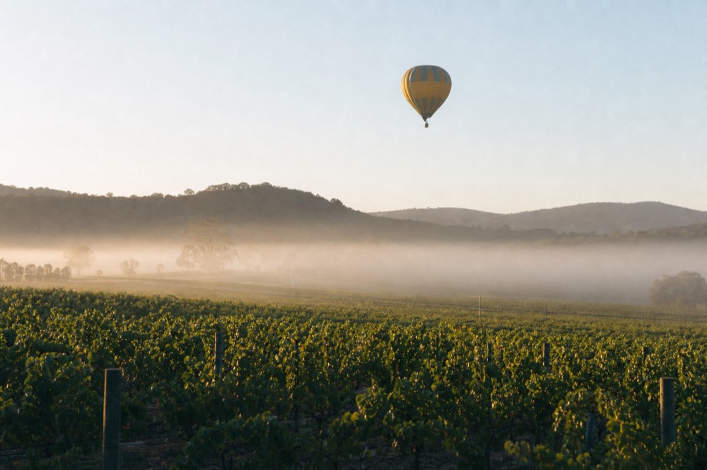 A hot-air balloon rising over misty vineyard rows at sunrise with hills beyond, no text, no logos, no people