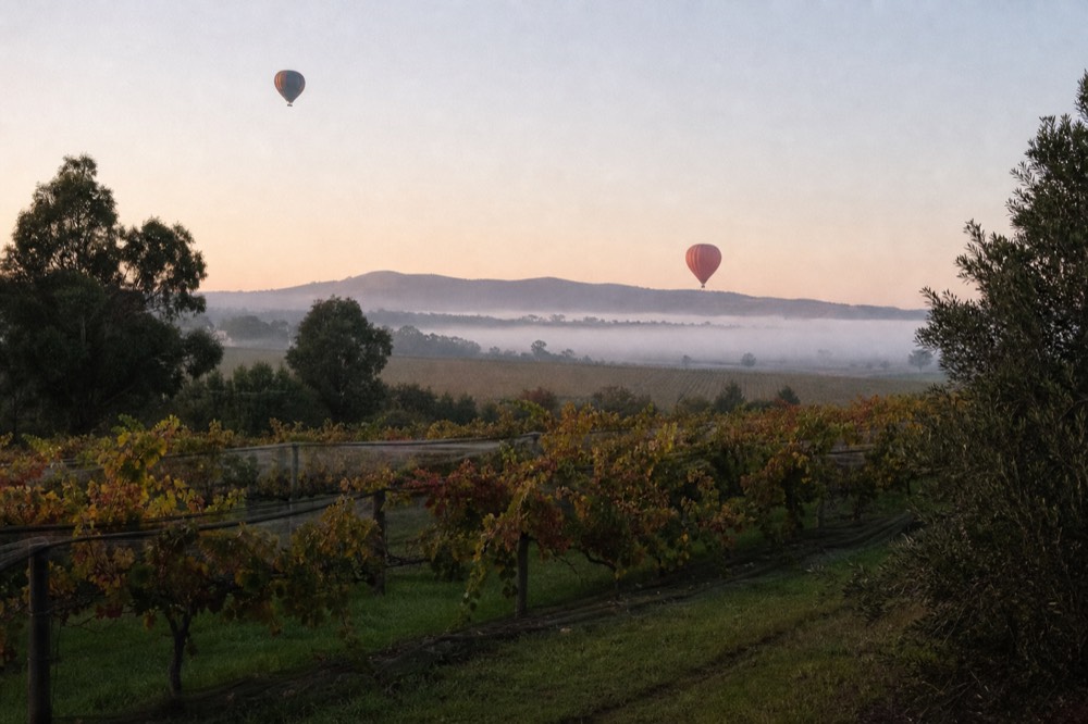 Hot-air balloons rising over misty vineyard rows at dawn with hills behind, soft pink light, no text, no logos, no people