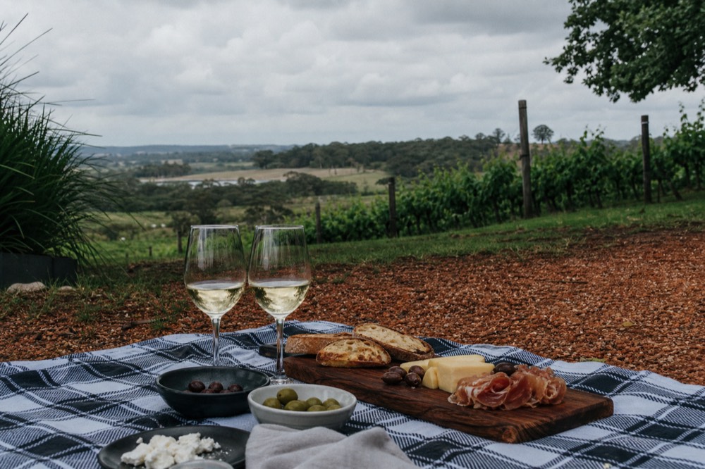 A picnic lunch with two wine glasses on a checked cloth beside vineyard rows at midday, no text, no logos, no people
